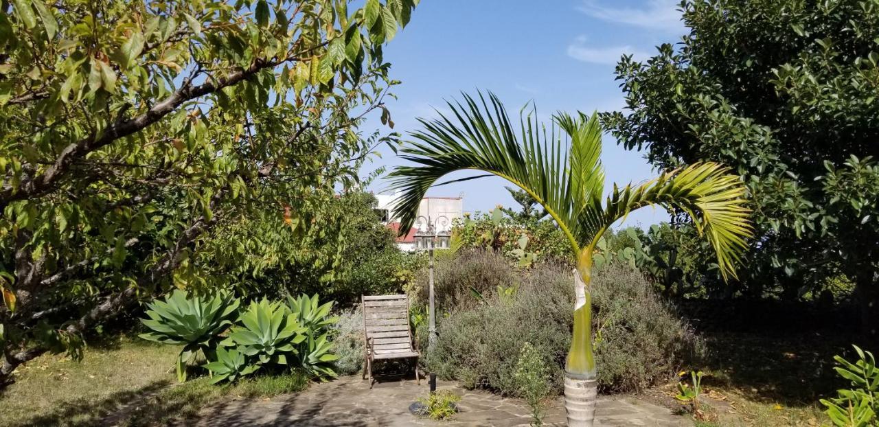 Ferienwohnung La Casita De La Vega Icod De Los Vinos Exterior foto