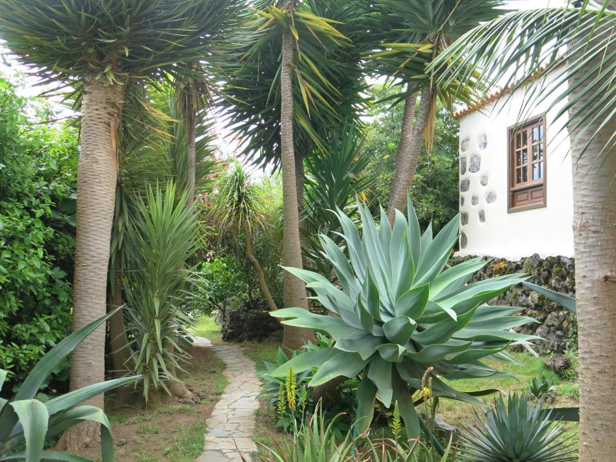 Ferienwohnung La Casita De La Vega Icod De Los Vinos Exterior foto