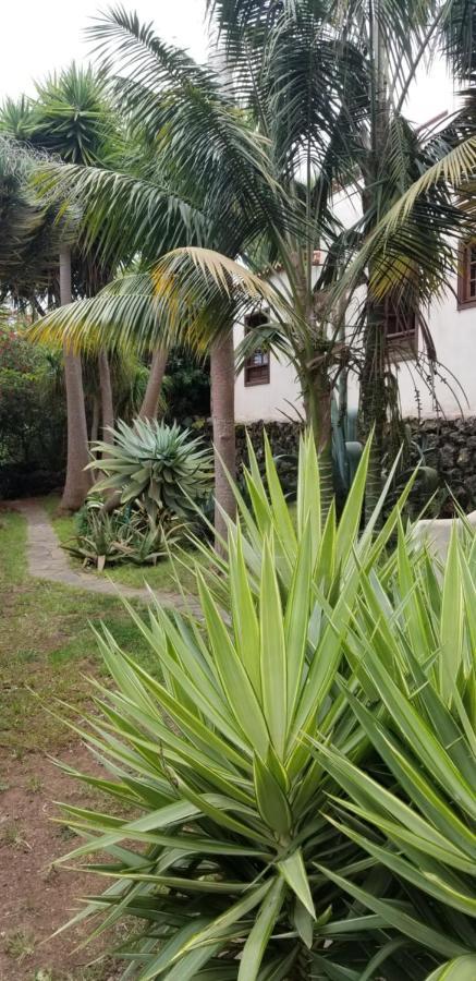 Ferienwohnung La Casita De La Vega Icod De Los Vinos Exterior foto