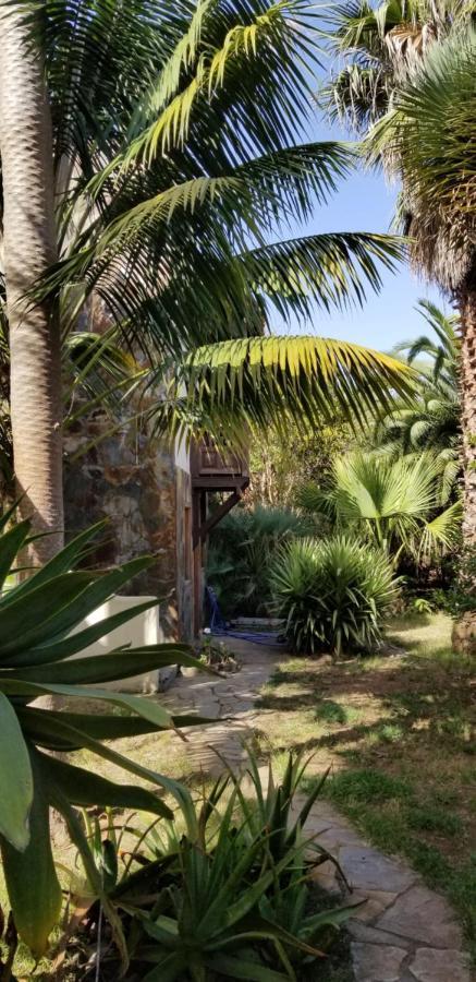 Ferienwohnung La Casita De La Vega Icod De Los Vinos Exterior foto