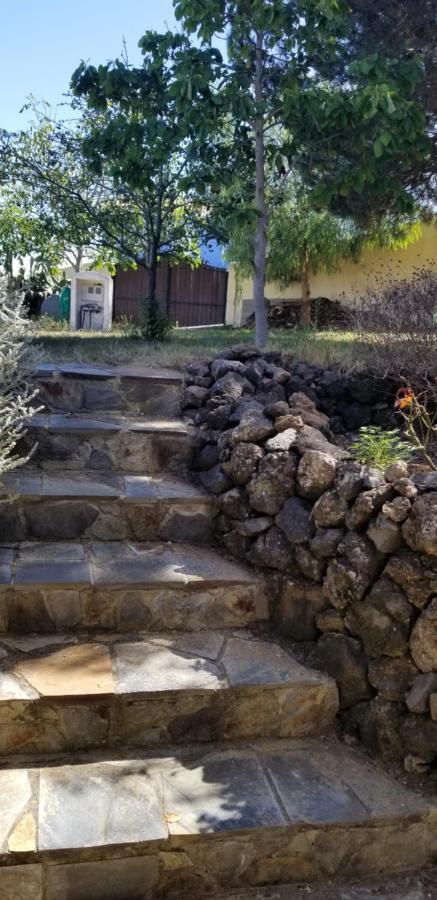 Ferienwohnung La Casita De La Vega Icod De Los Vinos Exterior foto