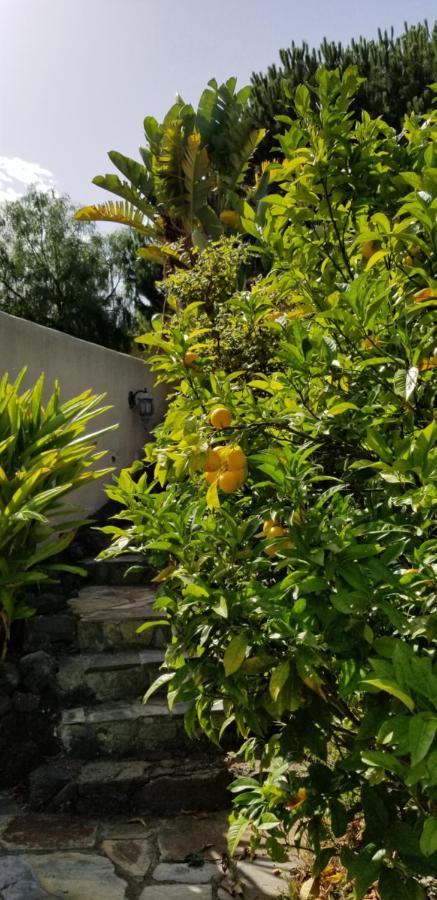 Ferienwohnung La Casita De La Vega Icod De Los Vinos Exterior foto
