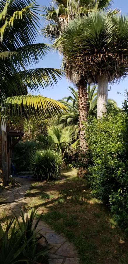 Ferienwohnung La Casita De La Vega Icod De Los Vinos Exterior foto