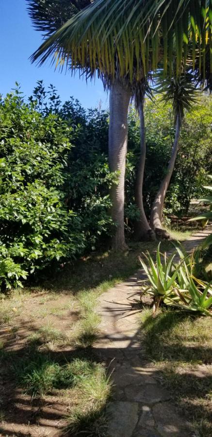 Ferienwohnung La Casita De La Vega Icod De Los Vinos Exterior foto
