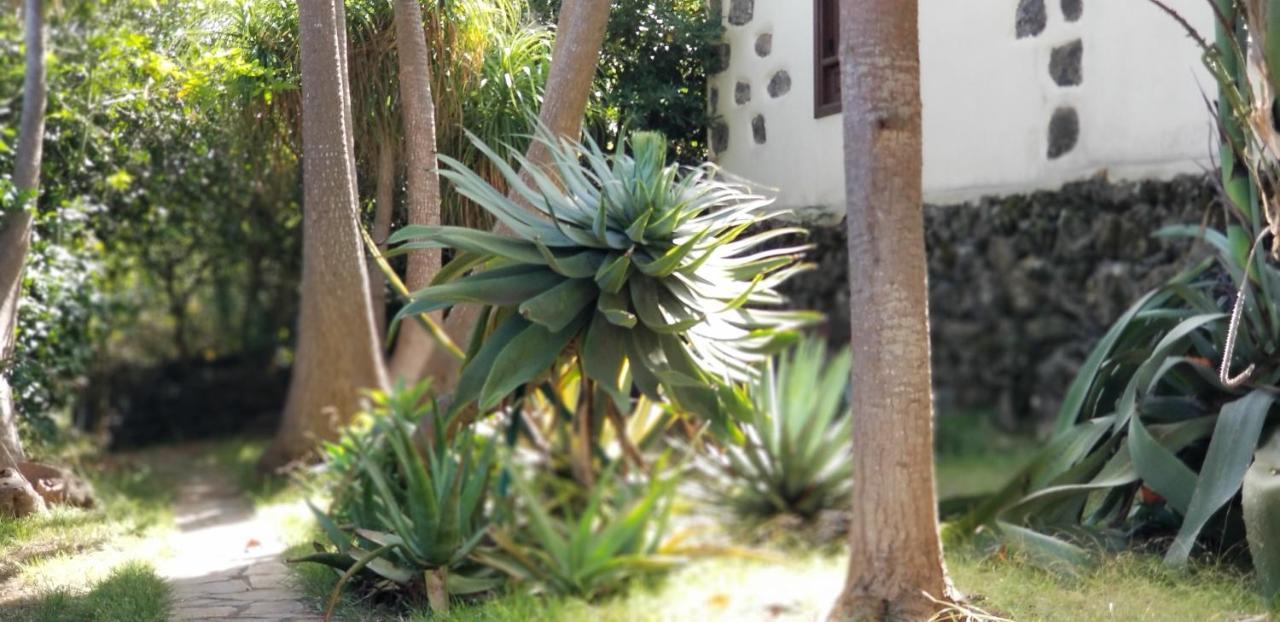 Ferienwohnung La Casita De La Vega Icod De Los Vinos Exterior foto
