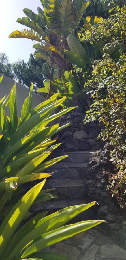 Ferienwohnung La Casita De La Vega Icod De Los Vinos Exterior foto