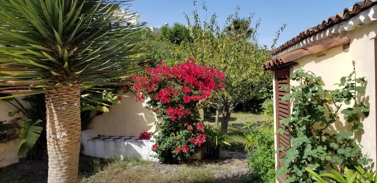 Ferienwohnung La Casita De La Vega Icod De Los Vinos Exterior foto